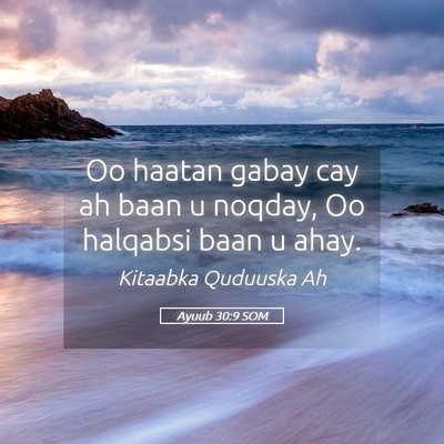 Picture 05 - Ayuub 30:9 SOM - Oo haatan gabay cay ah baan u noqday, Oo halqabsi - Bible Verse Picture