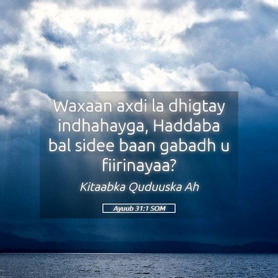 Picture 05 - Ayuub 31:1 SOM - Waxaan axdi la dhigtay indhahayga, Haddaba bal - Bible Verse Picture