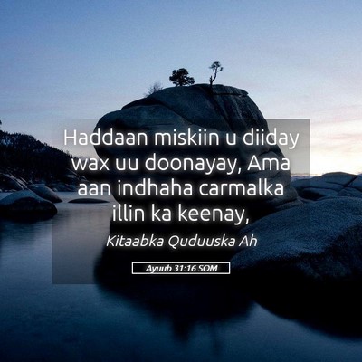 Picture 05 - Ayuub 31:16 SOM - Haddaan miskiin u diiday wax uu doonayay, Ama aan - Bible Verse Picture