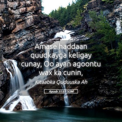 Picture 05 - Ayuub 31:17 SOM - Amase haddaan quudkayga keligay cunay, Oo ayan - Bible Verse Picture