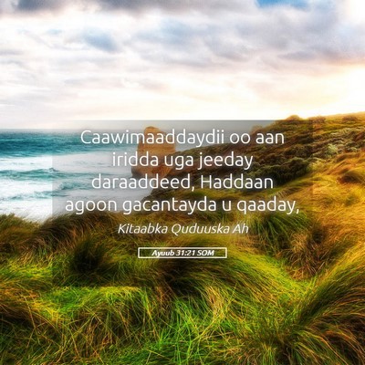 Picture 05 - Ayuub 31:21 SOM - Caawimaaddaydii oo aan iridda uga jeeday - Bible Verse Picture