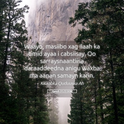 Picture 05 - Ayuub 31:23 SOM - Waayo, masiibo xag Ilaah ka timid ayaa i - Bible Verse Picture