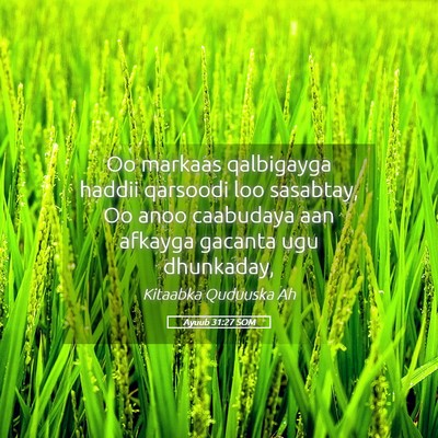 Picture 05 - Ayuub 31:27 SOM - Oo markaas qalbigayga haddii qarsoodi loo - Bible Verse Picture