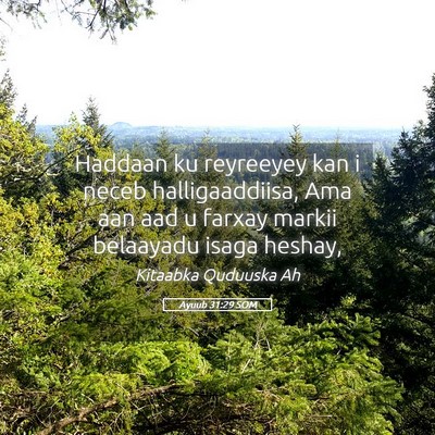 Picture 05 - Ayuub 31:29 SOM - Haddaan ku reyreeyey kan i neceb halligaaddiisa, - Bible Verse Picture