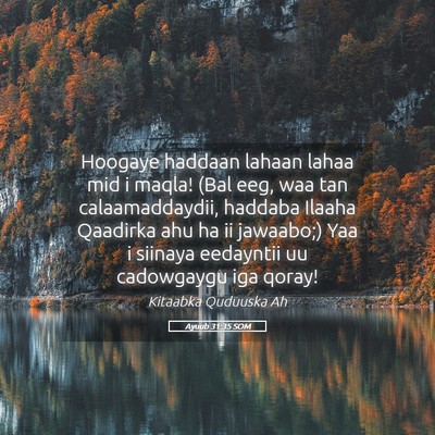 Picture 05 - Ayuub 31:35 SOM - Hoogaye haddaan lahaan lahaa mid i maqla! (Bal - Bible Verse Picture