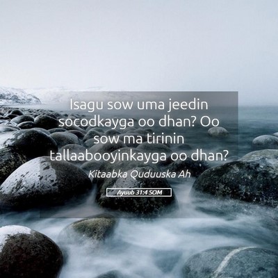 Picture 05 - Ayuub 31:4 SOM - Isagu sow uma jeedin socodkayga oo dhan? Oo sow - Bible Verse Picture