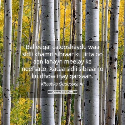 Picture 05 - Ayuub 32:19 SOM - Bal eega, calooshaydu waa sidii khamri sibraar ku - Bible Verse Picture