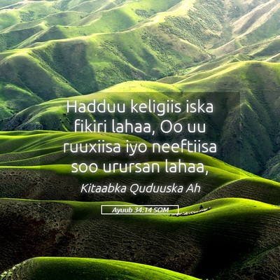 Picture 05 - Ayuub 34:14 SOM - Hadduu keligiis iska fikiri lahaa, Oo uu ruuxiisa - Bible Verse Picture