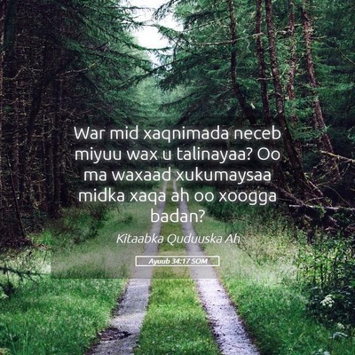 Picture 05 - Ayuub 34:17 SOM - War mid xaqnimada neceb miyuu wax u talinayaa? Oo - Bible Verse Picture