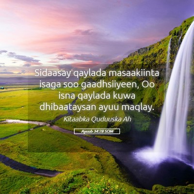Picture 05 - Ayuub 34:28 SOM - Sidaasay qaylada masaakiinta isaga soo - Bible Verse Picture