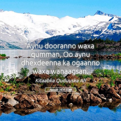 Picture 05 - Ayuub 34:4 SOM - Aynu dooranno waxa qumman, Oo aynu dhexdeenna ka - Bible Verse Picture