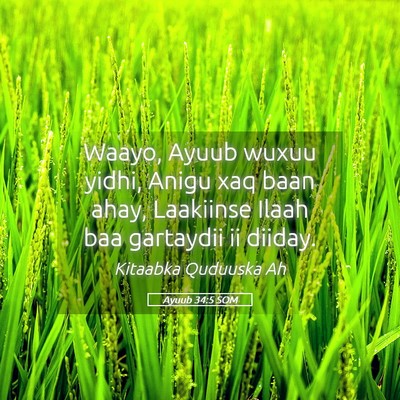 Picture 05 - Ayuub 34:5 SOM - Waayo, Ayuub wuxuu yidhi, Anigu xaq baan ahay, - Bible Verse Picture
