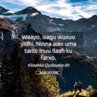 Picture 05 - Ayuub 34:9 SOM - Waayo, isagu wuxuu yidhi, Ninna wax uma tarto - Bible Verse Picture