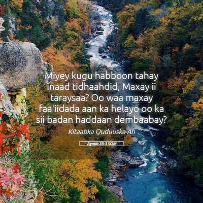 Picture 05 - Ayuub 35:3 SOM - Miyey kugu habboon tahay inaad tidhaahdid, Maxay - Bible Verse Picture