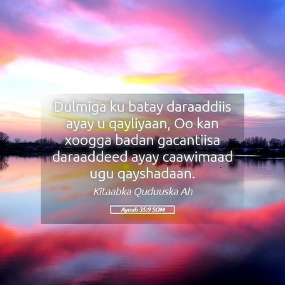 Picture 05 - Ayuub 35:9 SOM - Dulmiga ku batay daraaddiis ayay u qayliyaan, Oo - Bible Verse Picture
