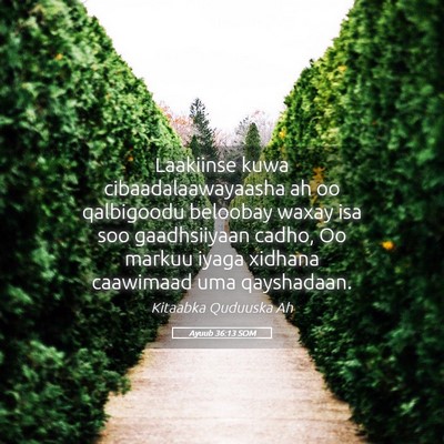 Picture 05 - Ayuub 36:13 SOM - Laakiinse kuwa cibaadalaawayaasha ah oo - Bible Verse Picture