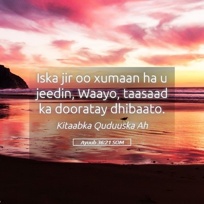 Picture 05 - Ayuub 36:21 SOM - Iska jir oo xumaan ha u jeedin, Waayo, taasaad ka - Bible Verse Picture