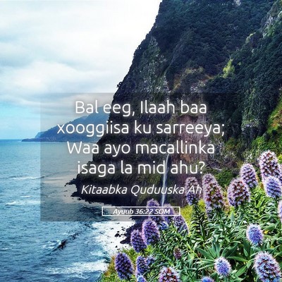Picture 05 - Ayuub 36:22 SOM - Bal eeg, Ilaah baa xooggiisa ku sarreeya; Waa ayo - Bible Verse Picture