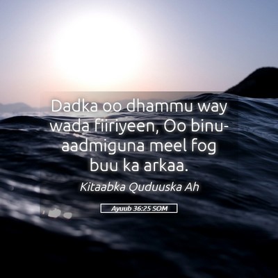 Picture 05 - Ayuub 36:25 SOM - Dadka oo dhammu way wada fiiriyeen, Oo - Bible Verse Picture