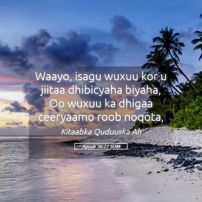 Picture 05 - Ayuub 36:27 SOM - Waayo, isagu wuxuu kor u jiitaa dhibicyaha - Bible Verse Picture
