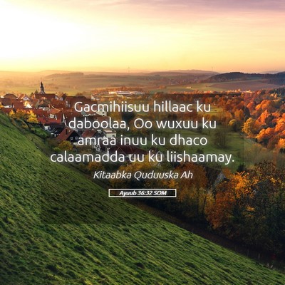 Picture 05 - Ayuub 36:32 SOM - Gacmihiisuu hillaac ku daboolaa, Oo wuxuu ku - Bible Verse Picture