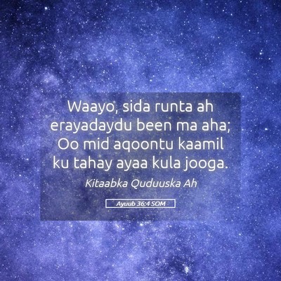 Picture 05 - Ayuub 36:4 SOM - Waayo, sida runta ah erayadaydu been ma aha; Oo - Bible Verse Picture
