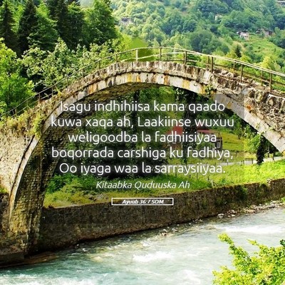 Picture 05 - Ayuub 36:7 SOM - Isagu indhihiisa kama qaado kuwa xaqa ah, - Bible Verse Picture