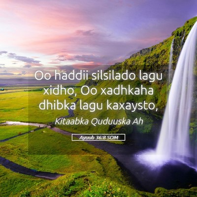 Picture 05 - Ayuub 36:8 SOM - Oo haddii silsilado lagu xidho, Oo xadhkaha - Bible Verse Picture