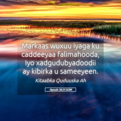 Picture 05 - Ayuub 36:9 SOM - Markaas wuxuu iyaga ku caddeeyaa falimahooda, Iyo - Bible Verse Picture
