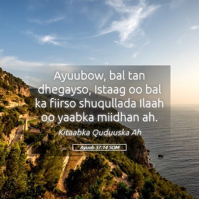 Picture 05 - Ayuub 37:14 SOM - Ayuubow, bal tan dhegayso, Istaag oo bal ka - Bible Verse Picture