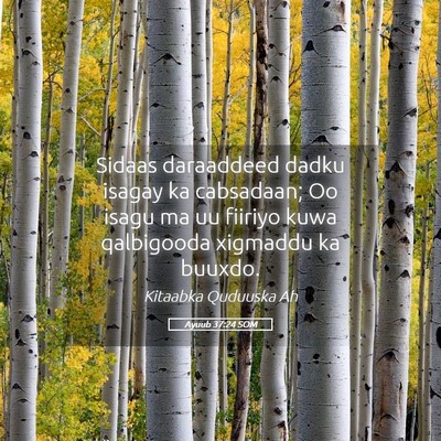Picture 05 - Ayuub 37:24 SOM - Sidaas daraaddeed dadku isagay ka cabsadaan; Oo - Bible Verse Picture