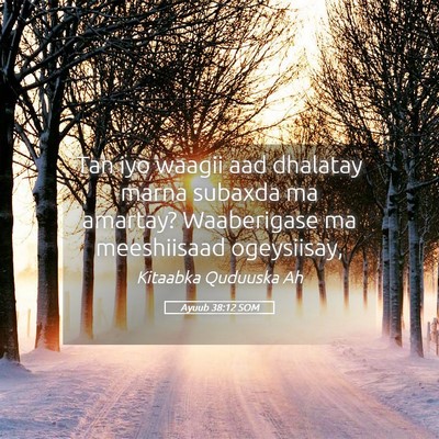 Picture 05 - Ayuub 38:12 SOM - Tan iyo waagii aad dhalatay marna subaxda ma - Bible Verse Picture