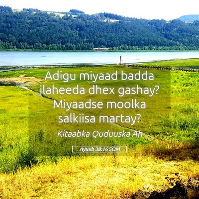 Picture 05 - Ayuub 38:16 SOM - Adigu miyaad badda ilaheeda dhex gashay? Miyaadse - Bible Verse Picture