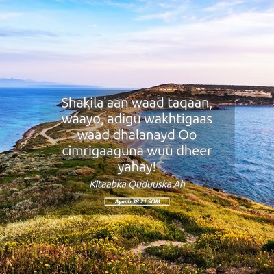 Picture 05 - Ayuub 38:21 SOM - Shakila'aan waad taqaan, waayo, adigu wakhtigaas - Bible Verse Picture