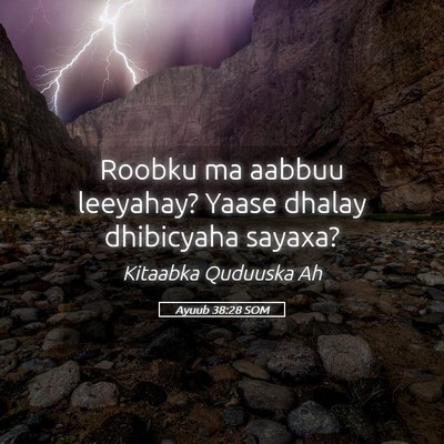 Picture 05 - Ayuub 38:28 SOM - Roobku ma aabbuu leeyahay? Yaase dhalay - Bible Verse Picture
