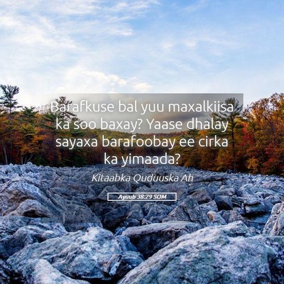 Picture 05 - Ayuub 38:29 SOM - Barafkuse bal yuu maxalkiisa ka soo baxay? Yaase - Bible Verse Picture