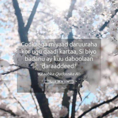 Picture 05 - Ayuub 38:34 SOM - Codkaaga miyaad daruuraha kor ugu qaadi kartaa, - Bible Verse Picture