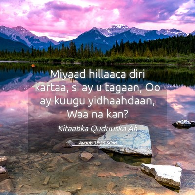 Picture 05 - Ayuub 38:35 SOM - Miyaad hillaaca diri kartaa, si ay u tagaan, Oo - Bible Verse Picture