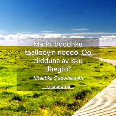 Picture 05 - Ayuub 38:38 SOM - Markii boodhku taallooyin noqdo, Oo ciidduna ay - Bible Verse Picture