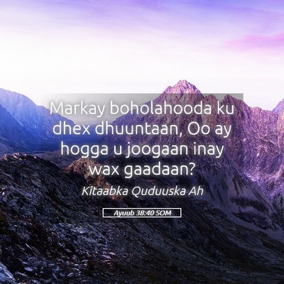 Picture 05 - Ayuub 38:40 SOM - Markay boholahooda ku dhex dhuuntaan, Oo ay hogga - Bible Verse Picture