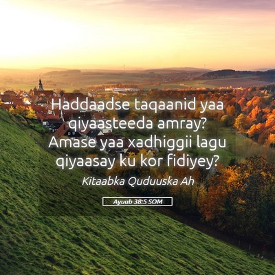 Picture 05 - Ayuub 38:5 SOM - Haddaadse taqaanid yaa qiyaasteeda amray? Amase - Bible Verse Picture