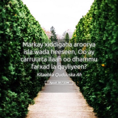Picture 05 - Ayuub 38:7 SOM - Markay xiddigaha aroorya isla wada heeseen, Oo ay - Bible Verse Picture