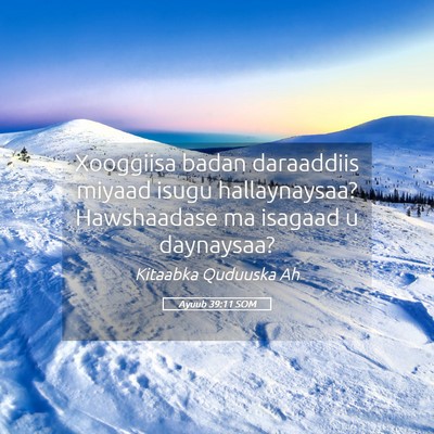 Picture 05 - Ayuub 39:11 SOM - Xooggiisa badan daraaddiis miyaad isugu - Bible Verse Picture