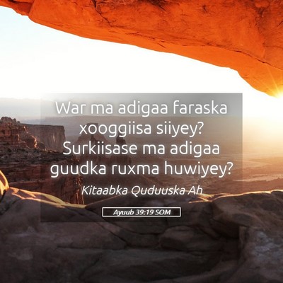 Picture 05 - Ayuub 39:19 SOM - War ma adigaa faraska xooggiisa siiyey? - Bible Verse Picture