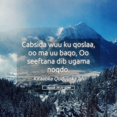 Picture 05 - Ayuub 39:22 SOM - Cabsida wuu ku qoslaa, oo ma uu baqo, Oo seeftana - Bible Verse Picture