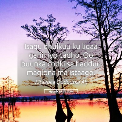 Picture 05 - Ayuub 39:24 SOM - Isagu dhulkuu ku liqaa gariir iyo cadho, Oo - Bible Verse Picture