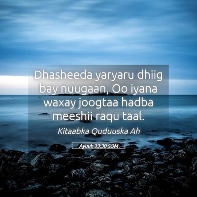Picture 05 - Ayuub 39:30 SOM - Dhasheeda yaryaru dhiig bay nuugaan, Oo iyana - Bible Verse Picture
