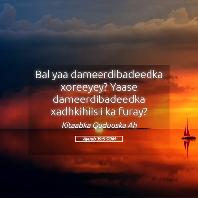 Picture 05 - Ayuub 39:5 SOM - Bal yaa dameerdibadeedka xoreeyey? Yaase - Bible Verse Picture