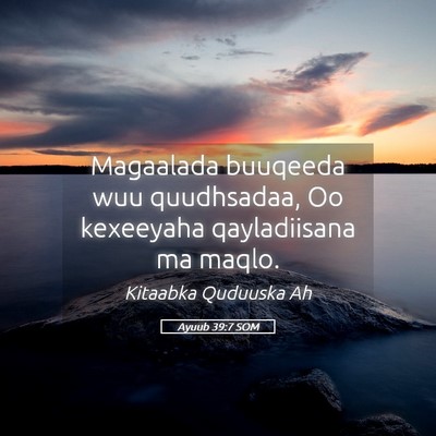Picture 05 - Ayuub 39:7 SOM - Magaalada buuqeeda wuu quudhsadaa, Oo kexeeyaha - Bible Verse Picture