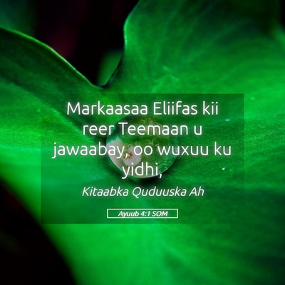 Picture 05 - Ayuub 4:1 SOM - Markaasaa Eliifas kii reer Teemaan u jawaabay, oo - Bible Verse Picture
